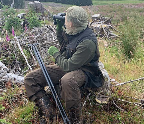 deer management-and control